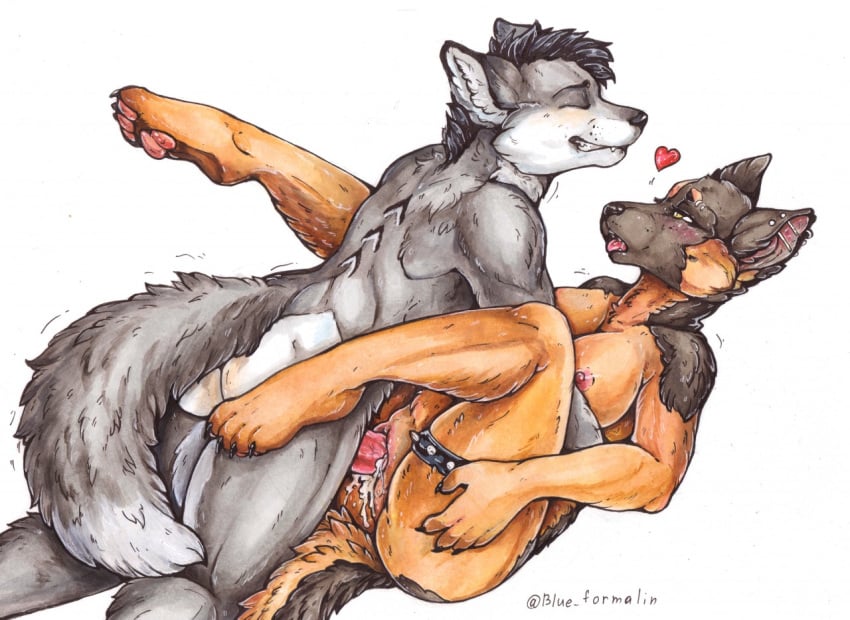 1boy 1girls 2020 anthro anthro_on_anthro anthro_penetrated anthro_penetrating anthro_penetrating_anthro ass blue_formalin bodily_fluids breasts brown_body brown_fur canid canine canis cum cum_from_pussy cum_in_pussy cum_inside cum_leaking domestic_dog duo female female_penetrated fluffy fluffy_tail fur genital_fluids genitals german_shepherd grey_body grey_fur heart herding_dog lying male male_on_top male_penetrating male_penetrating_female mammal missionary_position nude on_back on_top pastoral_dog penetration penile penile_penetration penis pussy sex simple_background straight vaginal_penetration white_background wolf