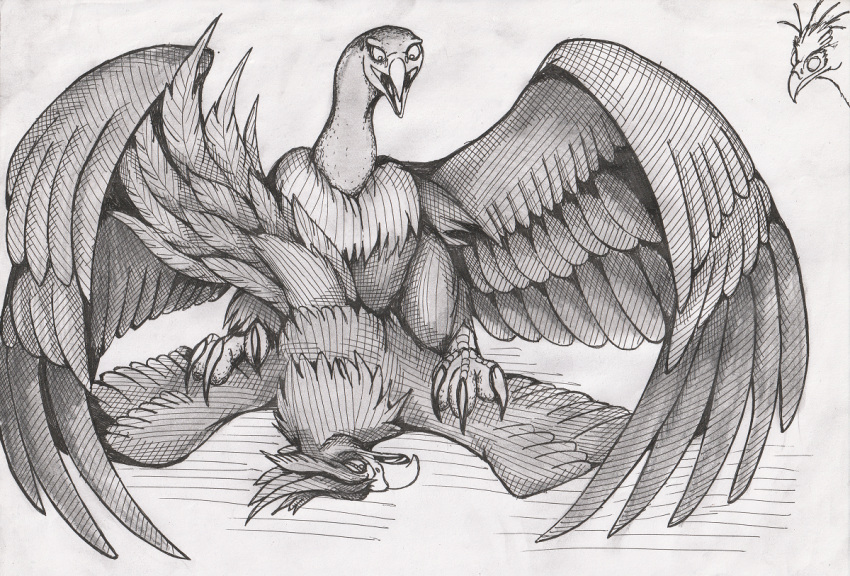 01phoenix01 2019 accipitriform ambiguous/ambiguous ambiguous_gender ass_up avian bird duo european_mythology feral graphite_(artwork) greek_mythology looking_aside looking_at_another looking_at_partner looking_pleasured lying monochrome mythological_avian mythological_firebird mythology on_front outside pencil_(artwork) phoenix raised_tail secretary_bird sex shaded spread_wings traditional_media_(artwork) vulture wings