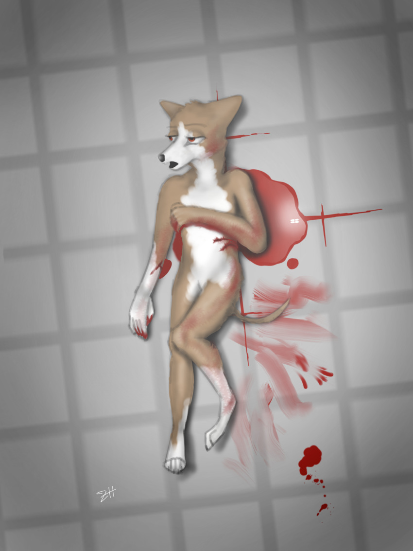 3:4 anthro blood blood_puddle bloody_fur bodily_fluids brown_body brown_fur canid canine canis crime_scene death deep_wound domestic_dog floor full-length_portrait fur half-closed_eyes herding_dog hi_res killing knife_wound lying male mammal narrowed_eyes on_back open_mouth pastoral_dog portrait solo unknown_artist welsh_corgi white_body white_fur wounded zerohours