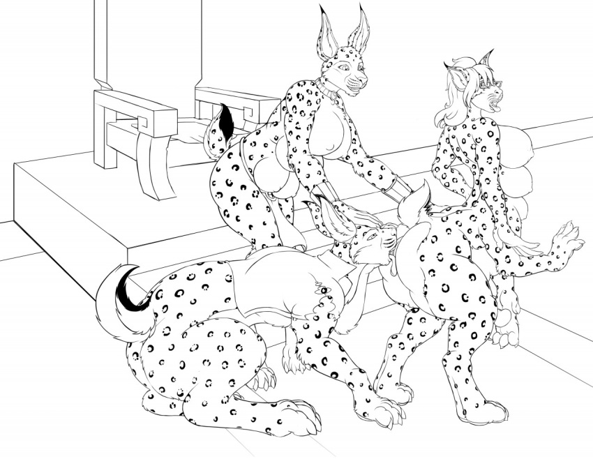 anthro furry lynx multi_breast pussy_lick soty taur