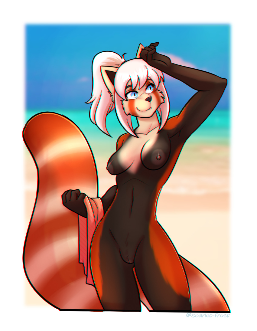 absurd_res ailurid anthro beach female genitals hair happy hi_res mammal nava_(hunterx90) nipples nude pose pussy red_panda scarlet-frost seaside solo white_hair