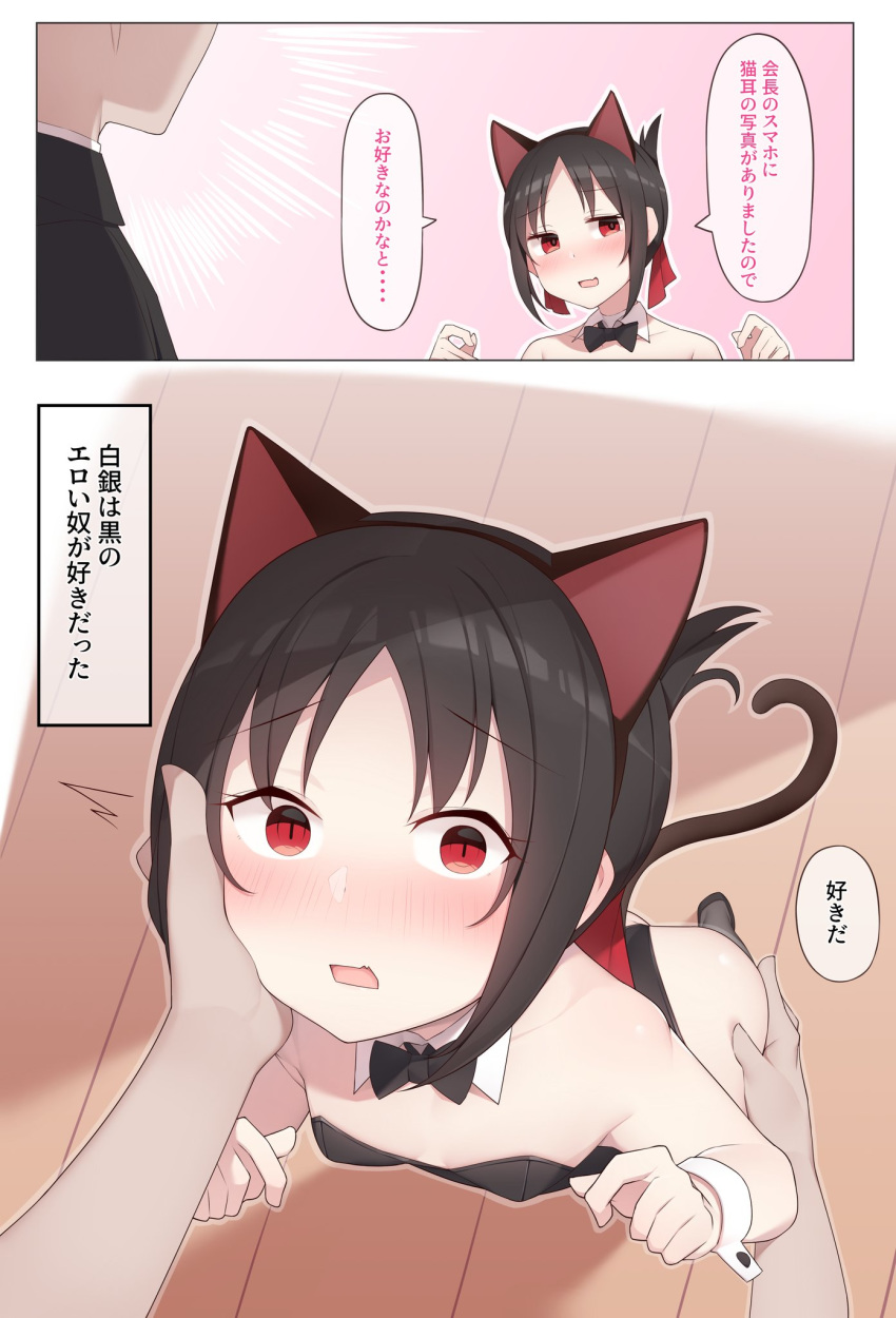 arapi black_hair cat_ears cat_suit cat_tail kaguya-sama_wa_kokurasetai_~tensai-tachi_no_renai_zunousen~ leotard looking_at_viewer pov red_eyes shinomiya_kaguya short_hair smaller_female