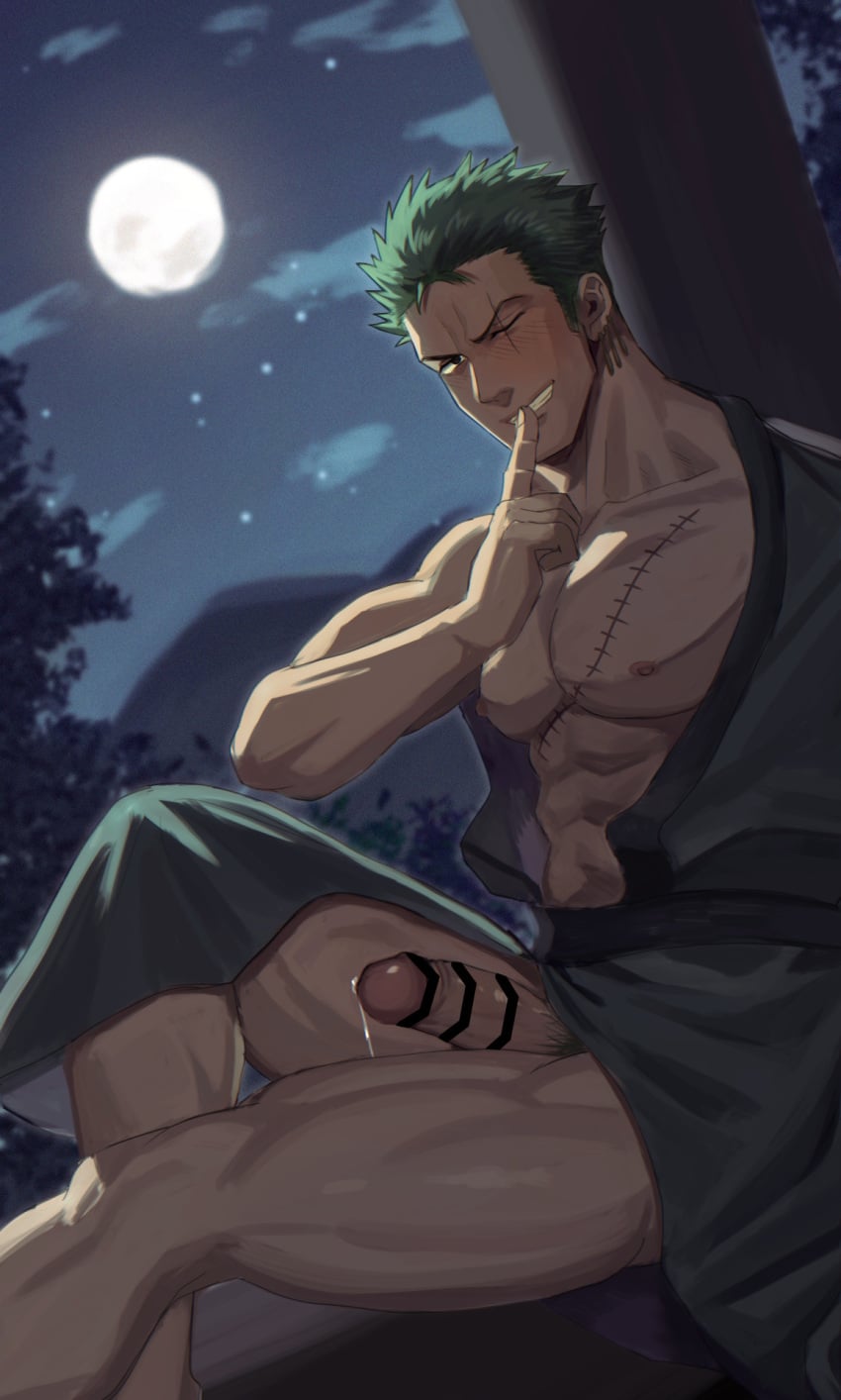 Roronoa Zoro (One Piece) Rule 34 Image