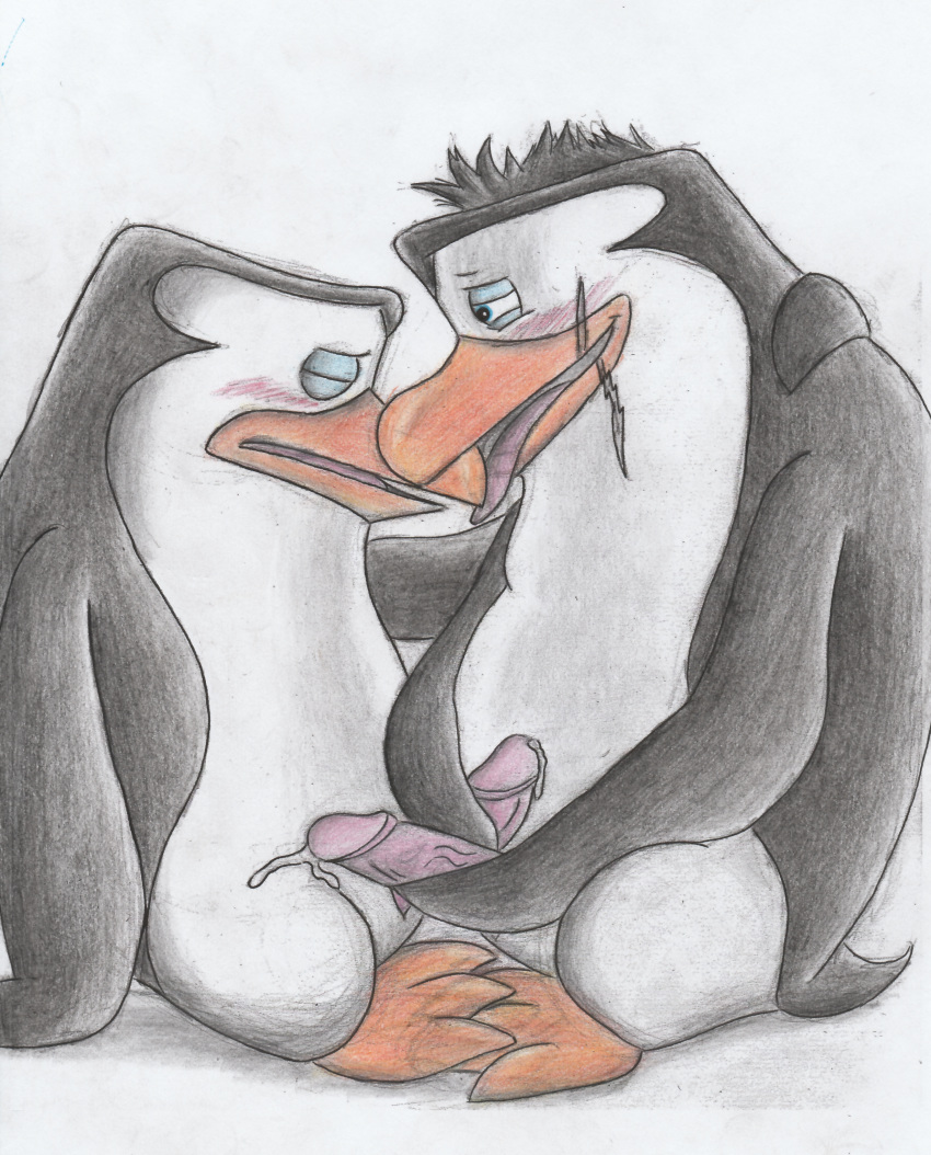 absurd_res avian bird bodily_fluids closed_eyes cum cum_on_penis daddypassion dreamworks duo erection genital_fluids genitals hi_res hug madagascar_(series) male male/male penguin penis rico_(madagascar) skipper_(madagascar) smile the_penguins_of_madagascar tongue