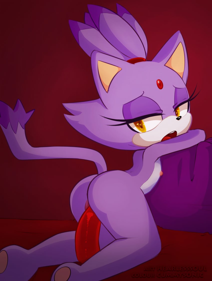 1girls animal_genitalia ass blaze_the_cat cummysonic dildo female furry hearlesssoul lavender_fur looking_at_viewer nipples open_mouth penetration sex_toy small_breasts sonic_(series) spread_legs tail vaginal_penetration yellow_eyes