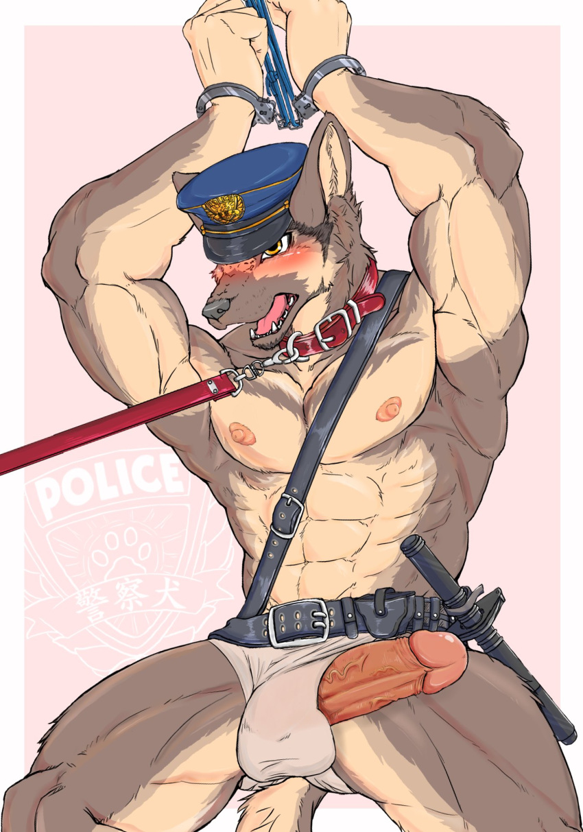 abs anthro balls belt blush briefs brown_body bulge canid canine canis clothed clothing collar cuff_(restraint) domestic_dog erection front_view genitals german_shepherd handcuffed handcuffs hands_above_head herding_dog hi_res humanoid_genitalia humanoid_penis leash leashed_collar male male_focus male_only mammal metal_cuffs mizuno_fitz muscular muscular_male open_mouth pastoral_dog pecs penis police police_hat restraints retracting_foreskin solo three-quarter_view topless underwear vein veiny_penis yellow_eyes