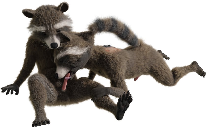 anthro duo guardians_of_the_galaxy hi_res huge_filesize male male/male marvel marvel_comics nescius rocket_raccoon rockyrcoon