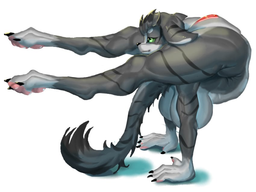 4:3 4_toes anthro backbend canid contortionism feet female flexible floppy_ears fur green_eyes grey_body grey_ears grey_fur grey_tail long_ears long_tail mammal nude plantigrade solo tail toes tyy