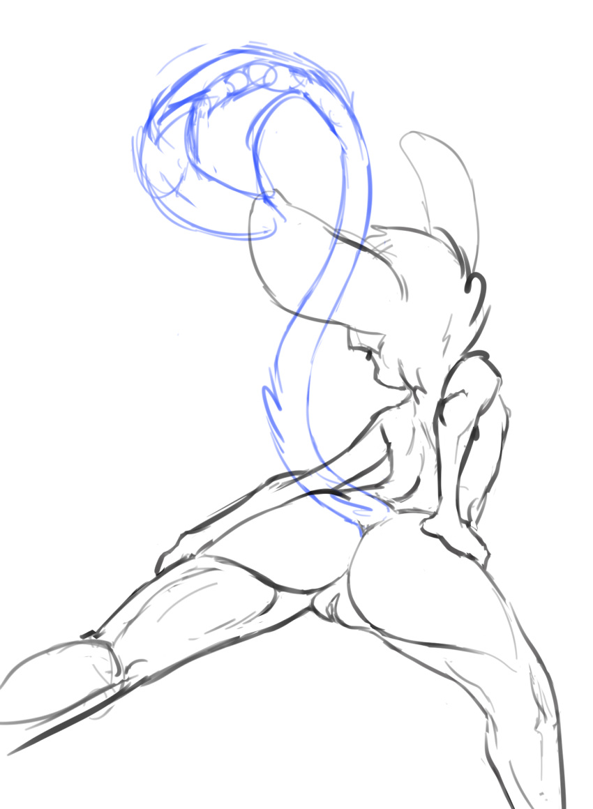Luck (Animancer) Rule 34 Image