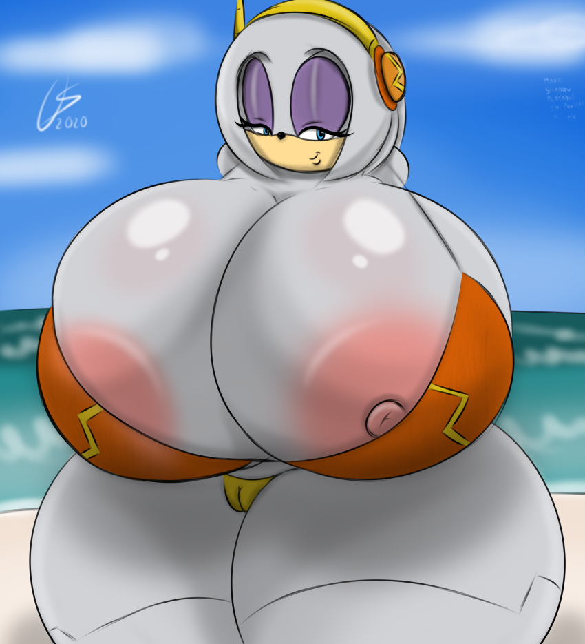 anthro big_breasts breasts echidna female genitals hi_res huge_breasts mammal monotreme nipples pussy sega solo sonic_(series) sonic_the_hedgehog_(series) ultimateshadow video_games wide_hips zeta_r-02 zeta_the_echidna