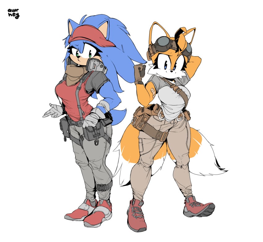 2_tails 2girls awr_hey blue_fur clothing eyewear female footwear fox fully_clothed genderswap genderswap_(mtf) gloves handwear hedgehog rule_63 sega sonic_(series) sonic_boom sonic_the_hedgehog sonic_the_hedgehog_(series) sonique_the_hedgehog tagme tails tails_the_fox tailsko yellow_fur