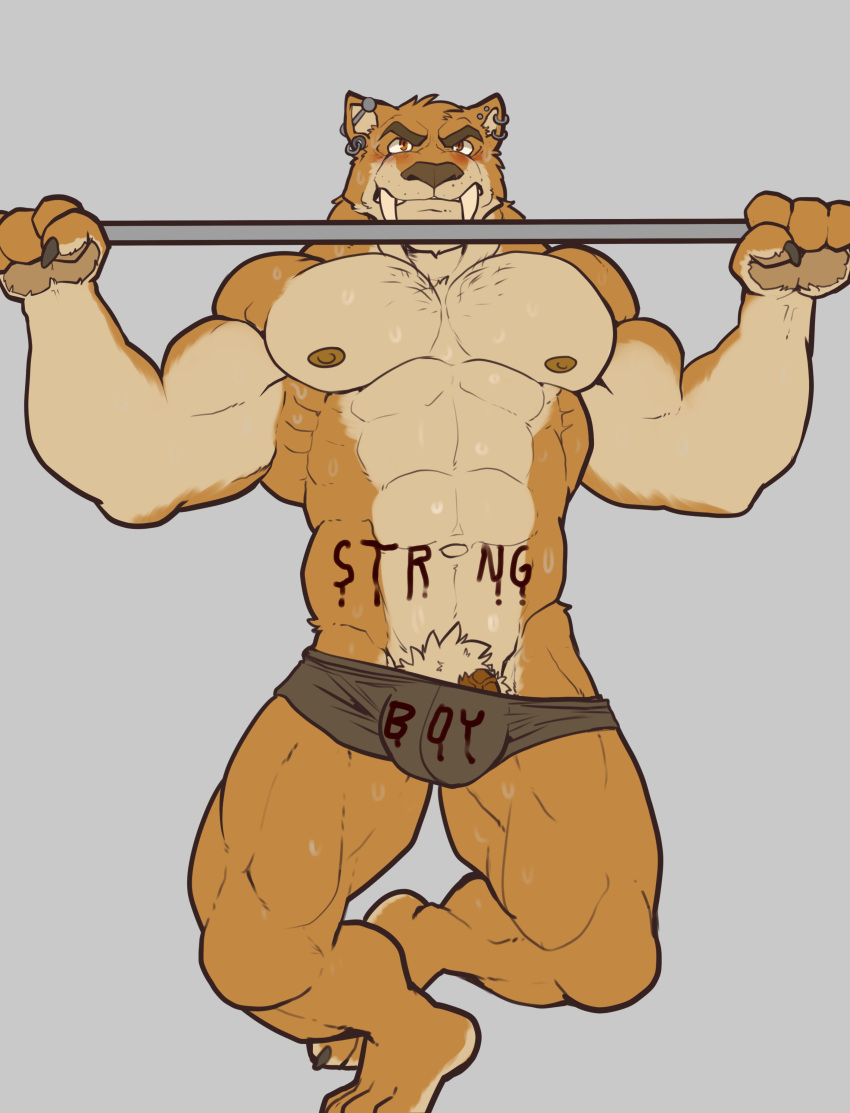 1boy 2017 abs absurd_res anthro barazoku barely_contained barely_visible_genitalia barely_visible_penis biceps big_biceps big_muscles black_underwear bodily_fluids body_writing bulge ear_piercing ear_ring exercise fangs felid genitals grey_background hi_res machairodontine male male_only mammal muscular muscular_anthro muscular_male navel nightterror nipples pecs penis piercing pj_saber pubes pull_ups simple_background solo sweat underwear workout