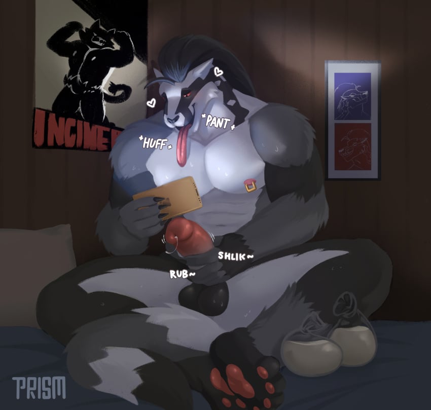 anthro badger balls bed bodily_fluids digital_media_(artwork) electronics erection furniture generation_8_pokemon genital_fluids genitals hair hi_res humanoid_genitalia humanoid_penis male mammal masturbation multicolored_body muscular muscular_male mustelid musteline nintendo nipple_piercing nipples nude obstagoon onomatopoeia open_mouth pawpads paws penis phone piercing pokemon pokemon_(species) precum prismalic solo sound_effects sweat text tongue tongue_out