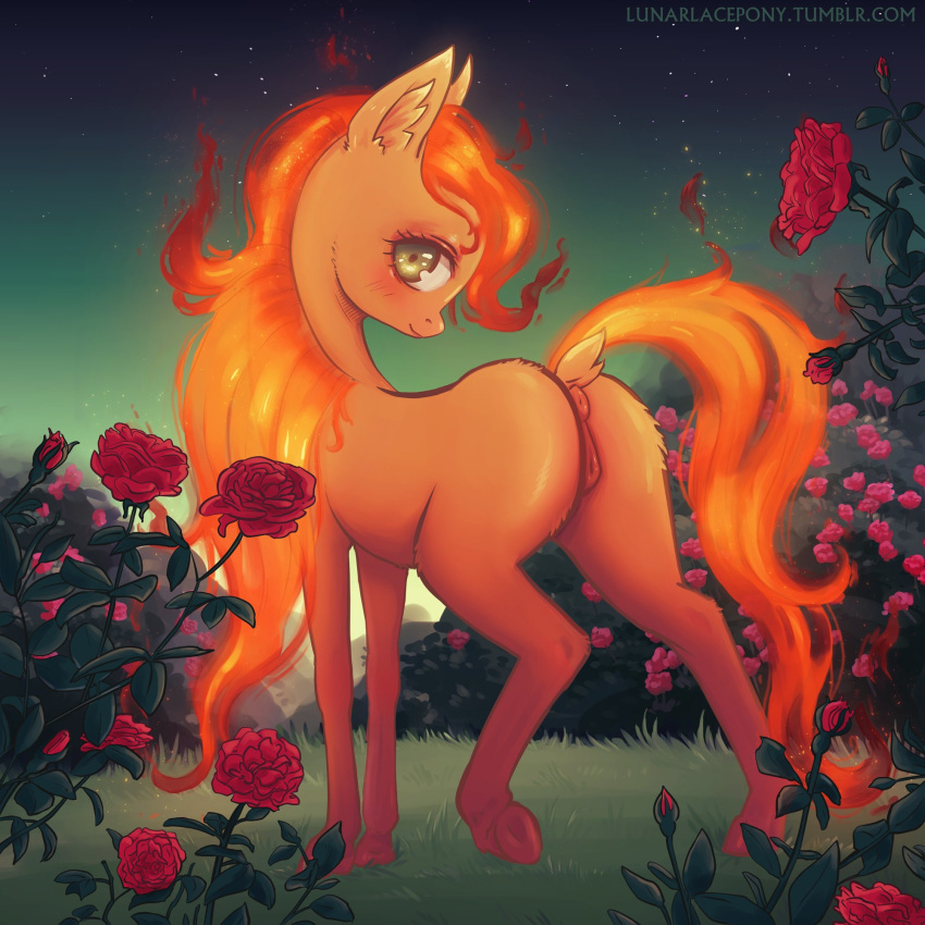 1:1 anus blush dock equid equine fan_character female feral fire flaming_hair flaming_mane flaming_tail flower fur furry garden genitals hasbro hi_res horse looking_at_viewer looking_back lunarlacepony mammal my_little_pony night outside plant pony pseudo_hair pseudo_mane pussy rose_(flower) solo yellow_body yellow_fur