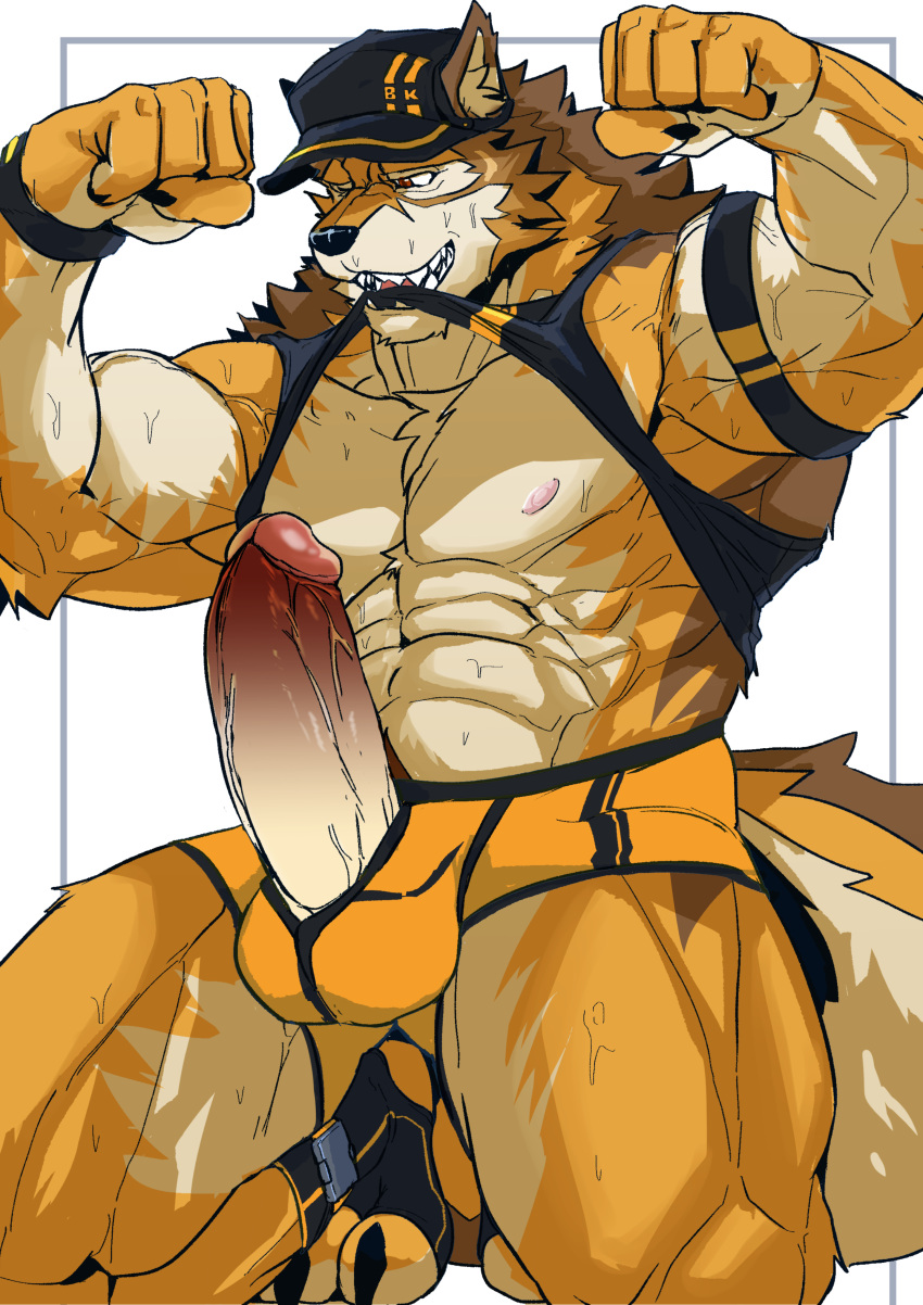 1boy abs absurd_res anthro asiahao520 balls barrel_(live_a_hero) biceps bodily_fluids briefs canid canine canis clothing erection flexing furry_only genitals hat headgear headwear hi_res live-a-hero male male_only mammal muscular muscular_anthro muscular_male nipples orange_underwear pecs penis shirt solo sweat tank_top topwear underwear wolf