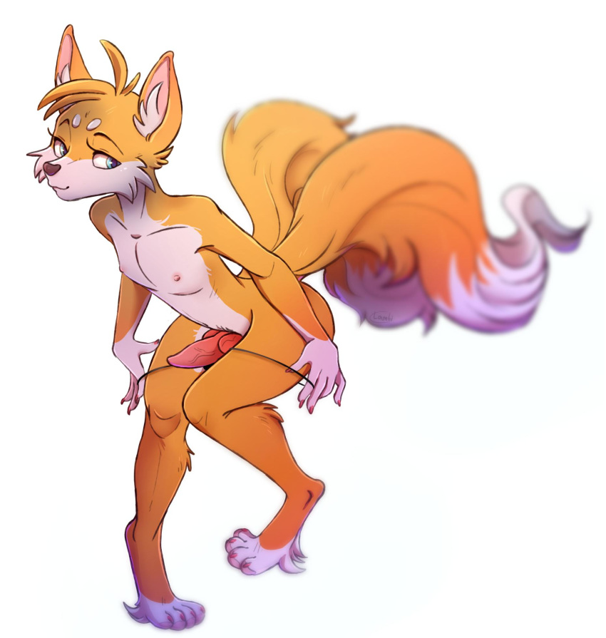 2019 2_tails anthro blonde_hair canid canine clothing countershade_face countershade_torso countershading fluffy fluffy_tail fox fur genitals hair hi_res inner_ear_fluff knot leaning leaning_forward looking_at_viewer male male_only mammal multi_tail multicolored_body nipples panties panties_down penis ponsex simple_background solo sonic_(series) sonic_the_hedgehog_(series) tails tapering_penis teal_eyes tuft two_tone_body underwear white_background white_body white_fur yellow_body yellow_fur yellow_tail