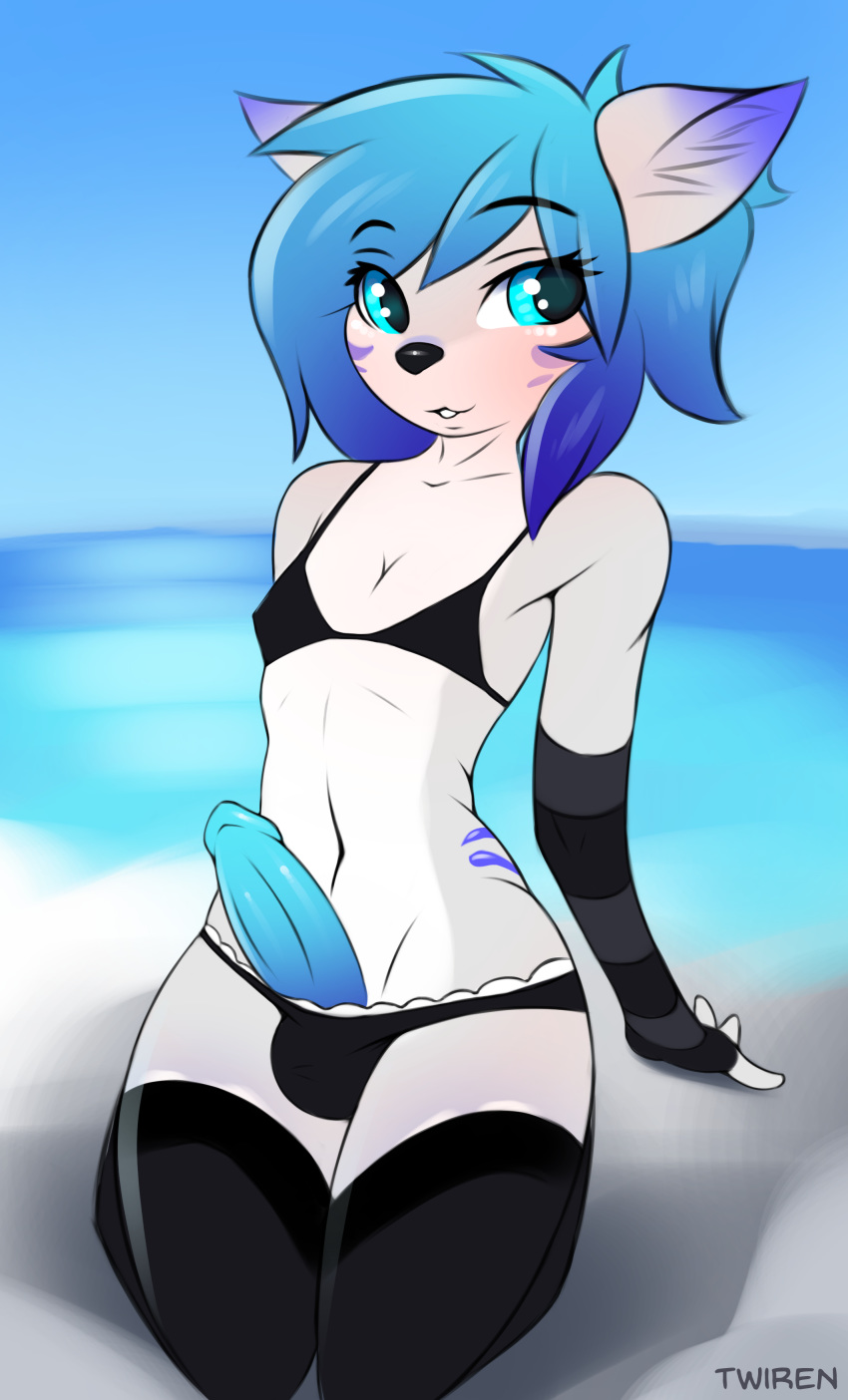 absurd_res anthro bikini blue_eyes blue_hair blue_penis bra clothed clothing crossdressing digital_media_(artwork) femboy genitals girly glistening glistening_eyes hair hi_res humanoid_genitalia humanoid_penis male mammal panties pattern_armwear pattern_clothing penile penis poking_out solo striped_armwear striped_clothing stripes swimwear tight_clothing twiren underwear