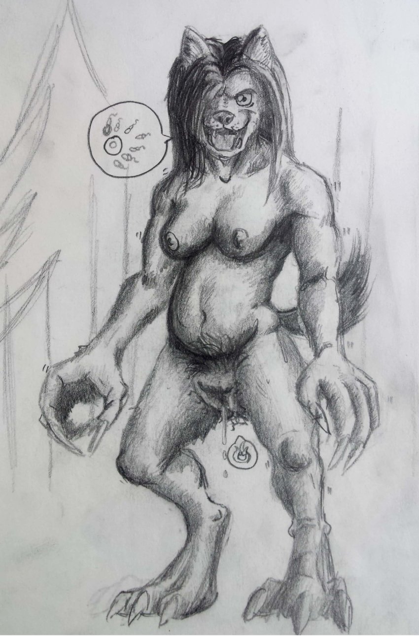 absurd_res anthro bodily_fluids breasts canid canine claws female genital_fluids genitals hair hi_res hyper hyper_genitalia hyper_pussy impregnation_request in_heat long_hair mammal ovum pregnant pubes pussy shaded_sketch sketch sketchy smile solo sperm_cell stichedpiscus were werecanid werecanine werewolf