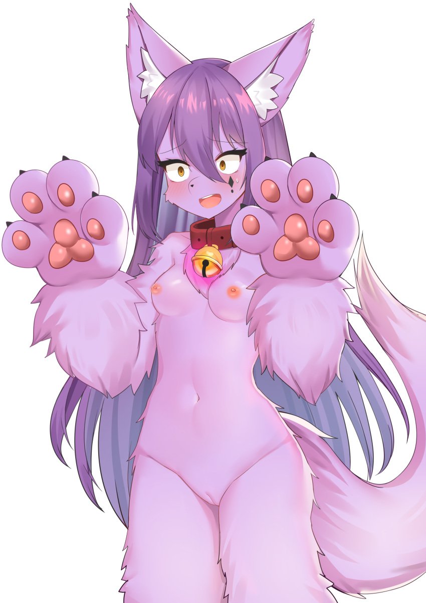 2020 absurd_res after_transformation anthro bell bell_collar blush canid collar collar_only corin female fur genitals hair hi_res mammal navel nekolu nipples open_mouth pawpads purple_body purple_fur purple_hair pussy simple_background solo surprise uncensored white_background