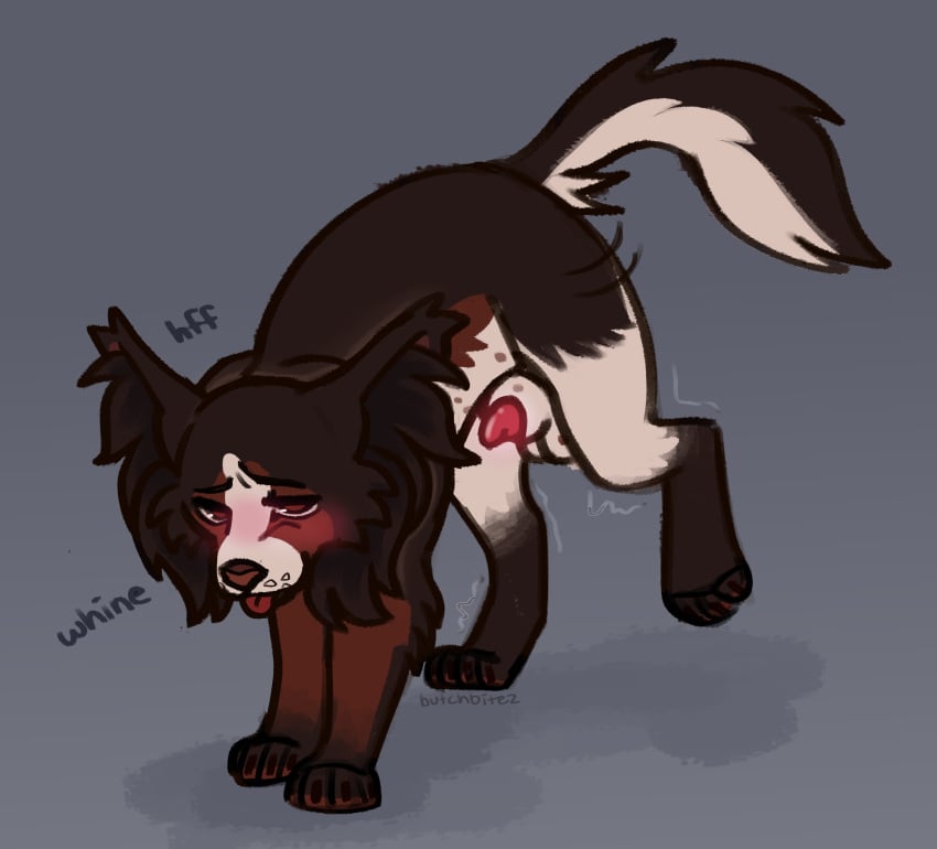 Coconut (Cokotheschnoot) Rule 34 Image