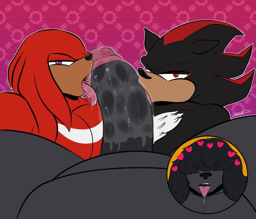 Knuckles The Echidna (Sega) Rule 34 Image