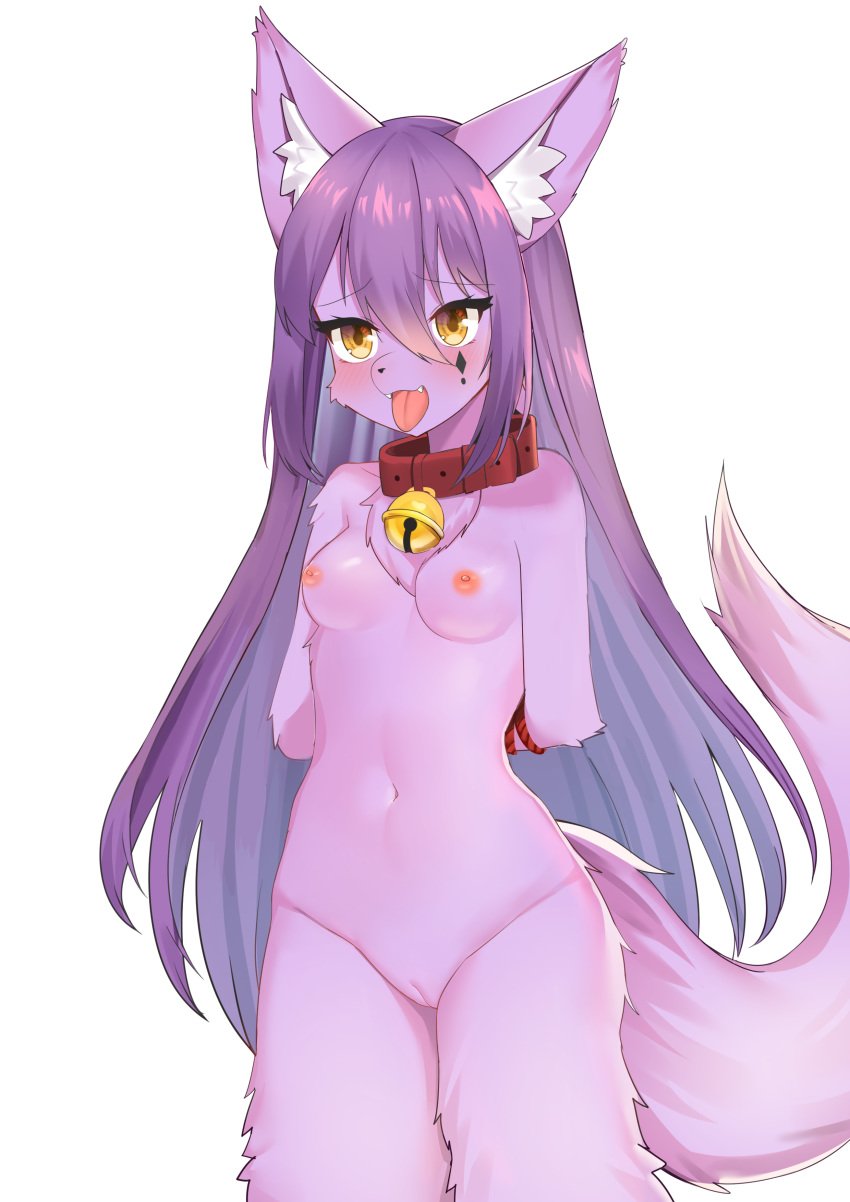 2020 absurd_res after_transformation anthro arms_tied bell bell_collar blush bound canid collar collar_only corin female fur genitals hair hi_res mammal navel nekolu nipples open_mouth pawpads purple_body purple_fur purple_hair pussy simple_background solo surprise tongue tongue_out uncensored white_background