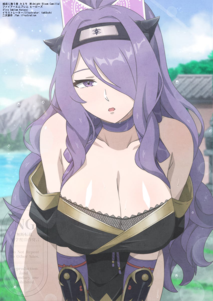 Camilla (Fire Emblem) Rule 34 Image