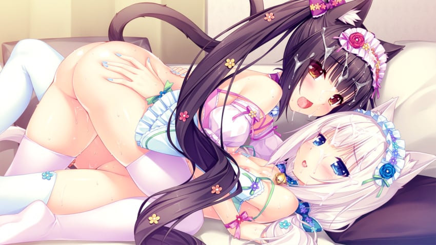 2girls bed_sheets bedroom breasts cat_ears cat_humanoid cat_tail catgirls chocola_(sayori) cum_on_face female multiple_girls nekopara nipples orange_eyes pillow sayori vanilla_(sayori)