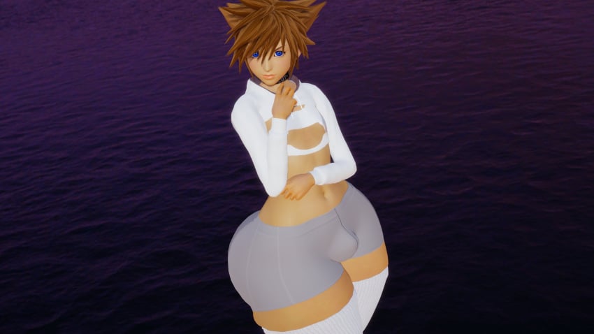 Sora (Kingdom Hearts) Rule 34 Image