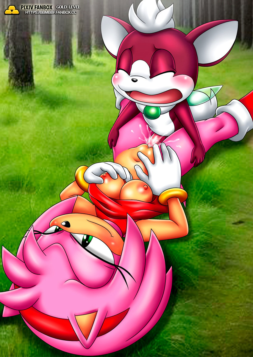 1boy 1girls amy_rose anthro bbmbbf blush breasts chip_(sonic) closed_eyes clothed_sex clothing cum cum_in_pussy cum_inside female gold_level male male/female medium_breasts mobius_unleashed navel nipples nude open_mouth palcomix penis pietros_secret_club pussy sega sex size_difference sonic_(series) sonic_the_hedgehog_(series) sonic_unleashed tongue vaginal_penetration vaginal_sex