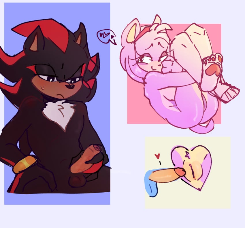 amy_rose artist_request comissions furry shadow_the_hedgehog small_penis small_penis_adoration sonic_(series) sonic_the_hedgehog