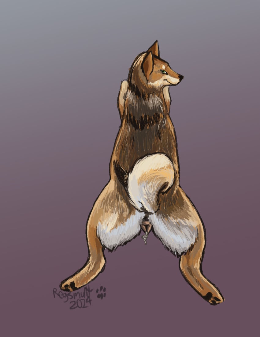 2024 anatomically_correct anatomically_correct_genitalia anatomically_correct_pussy animal_genitalia animal_pussy bodily_fluids brown_body brown_fur canid canine canine_genitalia canine_pussy canis countershading cum cum_from_pussy cum_in_pussy cum_inside curled_tail digital_media_(artwork) domestic_dog female feral fur genital_fluids genitals gradient_background hi_res looking_at_viewer looking_back mammal pawpads paws pussy realistic_feral regsmutt shiba_inu simple_background smile solo spitz tail