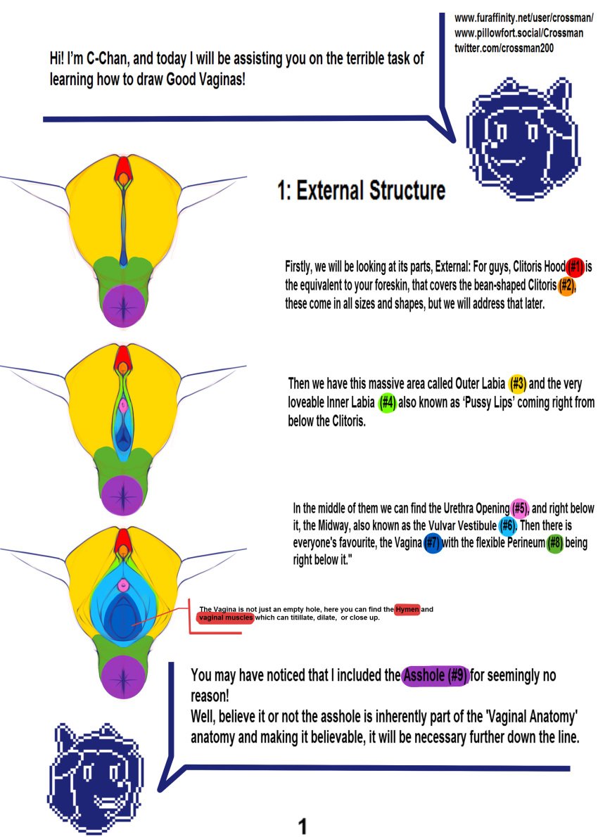 absurd_res alexis_crossman anatomically_correct anatomically_correct_genitalia anatomically_correct_pussy anthro anus canid canine clitoris crossman educational english_text female gaping gaping_pussy genitals hi_res mammal multicolored_pussy pixel profanity pussy rainbow_pussy speech_bubble text tutorial urethra url