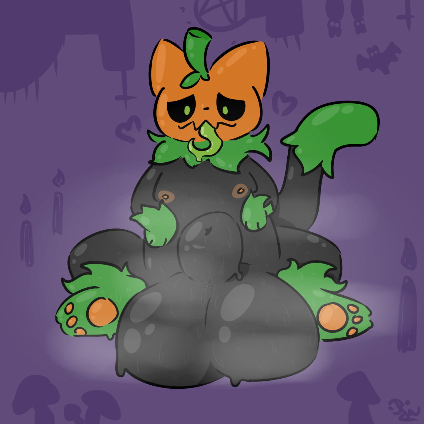 Pumkat (Halloween) Rule 34 Image