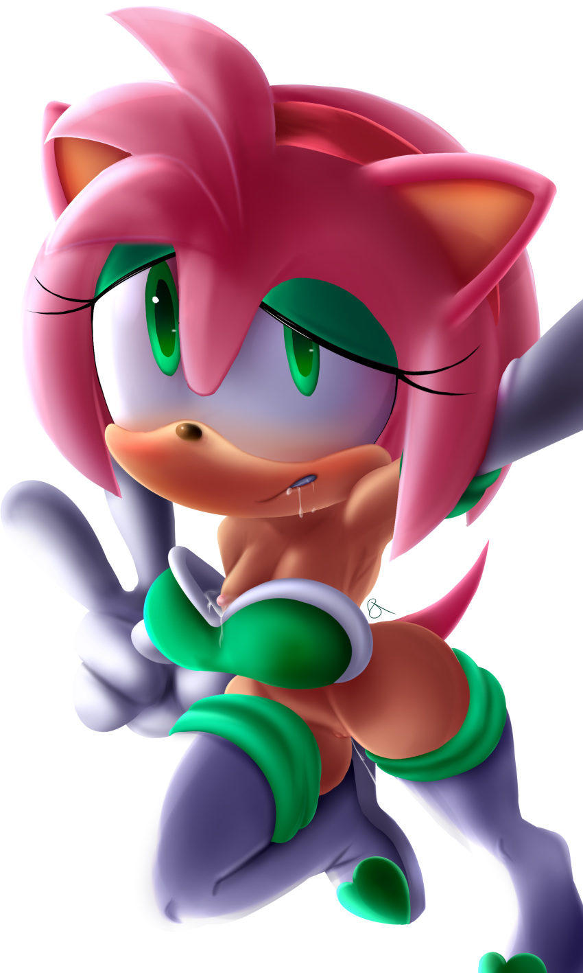 Rouge The Bat (Cosplay) Rule 34 Image
