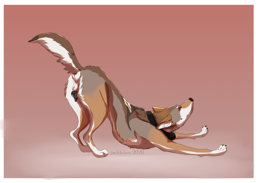 Animal Genitalia Rule 34 Image