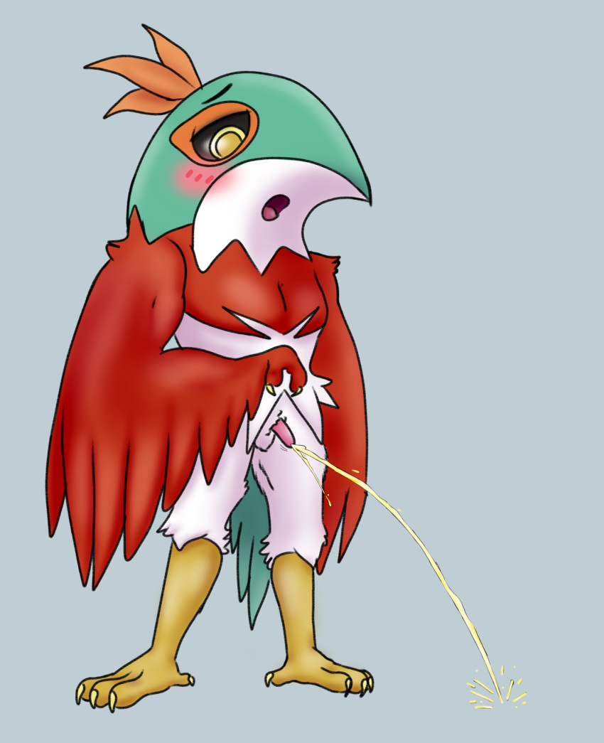 bird blush feathers flustered hawk hawlucha peachybleed_(artist) peeing pink_penis pokemon watersports