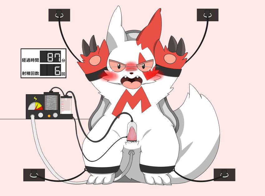 1boy absurd_res anal exam flushed flushed_face genitals herpestid hi_res machine male male_focus mammal milking_machine mongoose nintendo nogisuke523 penis pokémon_(species) pokemon pokemon_(species) semen_collection solo video_games zangoose