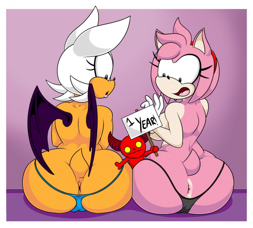 Amy Rose (Sonic (Series)) Rule 34 Image