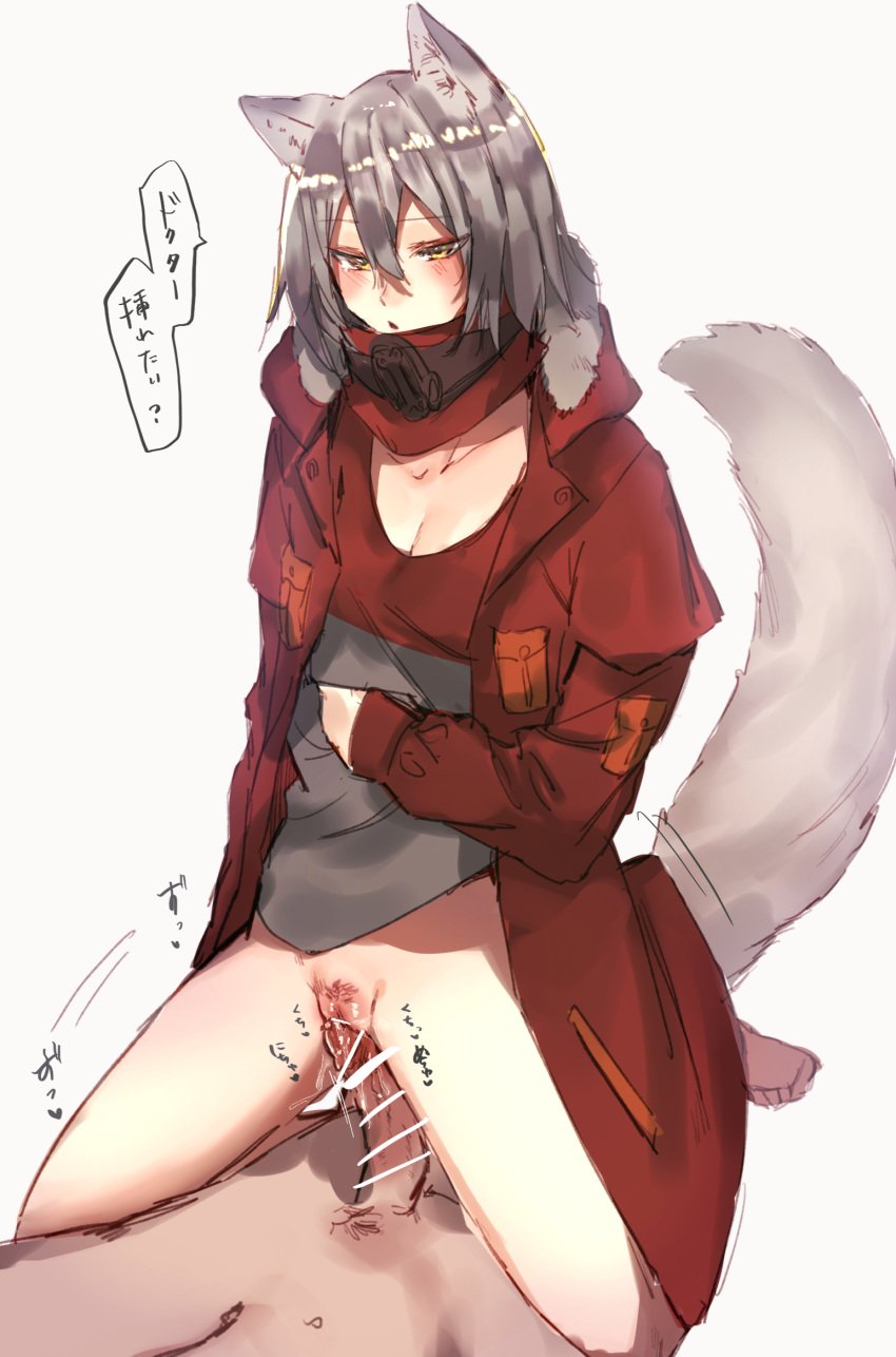 animal_ears arknights blush grey_hair miyoichi_(tjuc8378) projekt_red_(arknights) pubic_hair pussy sex tail wolf_ears wolf_tail yellow_eyes