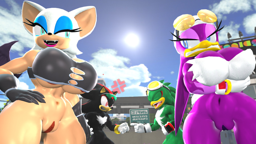 2boys 2girls 3d 3d_model angry avian bat beak bird black_body breasts chiropteran eyelashes goggle green_body hair hat hawk hedgehog jet_the_hawk laughing mobian mobian_(species) mobian_bat nackey nipples purple_hair pussy rouge_the_bat sega shadow_the_hedgehog sonic_(series) sonic_adventure_2 sonic_riders sonic_the_hedgehog_(series) swallow_(bird) tan_body torn_clothes torn_clothing tuft wave_the_swallow white_body