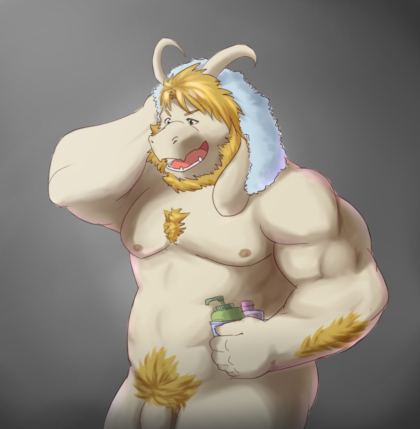 1boy alternate_version_at_source anthro asgore_dreemurr bara blonde_hair body_hair boss_monster bovid caprine chest_hair facial_hair genitals hair hi_res holding_object horn male male_only mammal muscular muscular_anthro muscular_male nipples nude open_mouth penis pubes simple_background solo towel undertale video_games wdh3905 white_body white_penis