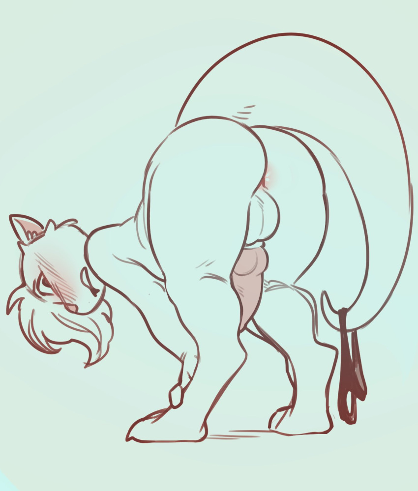 anthro anus balls bent_over blush clothing fur geary genitals hair hands_on_legs hi_res hybrid male panties penis solo tail underwear white_body white_fur white_hair