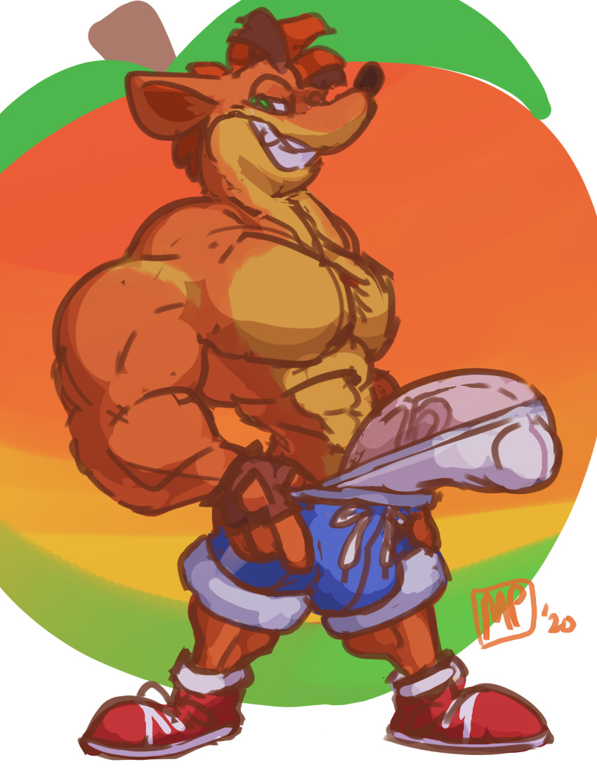 1boy 2020 abs absurd_res activision anthro bandicoot big_penis bottomwear bulge clothed clothing crash_(series) crash_bandicoot digital_media_(artwork) drawstring erection eyebrows fingerless_gloves footwear fur genitals gloves green_eyes grin hair half-closed_eyes handwear hi_res looking_at_viewer male male_only mammal marsupial maxpany multicolored_body multicolored_fur muscular muscular_anthro muscular_male narrowed_eyes open_mouth orange_body orange_fur penis red_hair shoes shorts simple_background smile solo stretched_clothing teeth thick_eyebrows topless two_tone_body two_tone_fur underwear vein veiny_penis video_games white_underwear wumpa_fruit