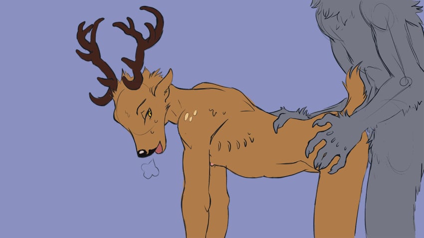 16:9 all_fours anal anal_sex animated anthro anthro_on_anthro anthro_penetrated anthro_penetrating anthro_penetrating_anthro antlers beastars breath brown_body brown_fur canid canine canis cervid cervine doggy_style duo faceless_male from_behind_position fur genitals grey_body grey_fur horn interspecies legoshi_(beastars) louis_(beastars) male male/male male_penetrated male_penetrating male_penetrating_male mammal nipples panting penetration penile penile_penetration penis predator/prey red_deer sex side_view vanillatea widescreen wolf