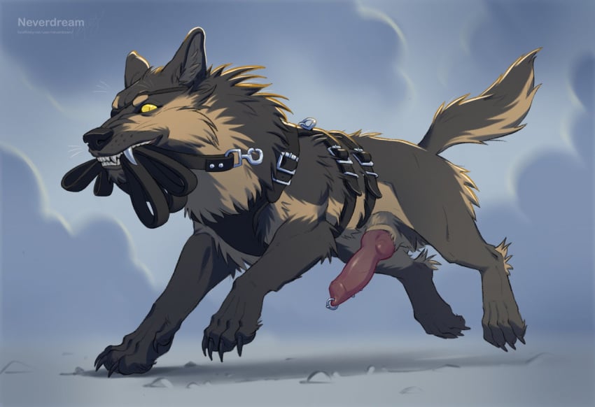 anatomically_correct anatomically_correct_genitalia anatomically_correct_penis animal_genitalia animal_penis beau_(williamca) canid canine canine_penis canis claws digital_media_(artwork) domestic_dog erection eye_patch eyewear feral fur genital_piercing genitals german_shepherd herding_dog knot leash looking_at_viewer male male_only mammal neverdream nude outside pastoral_dog penis penis_piercing piercing presenting presenting_penis sky solo teeth williamca yellow_eyes