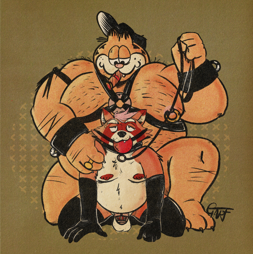 anthro armwear ball_gag balls barazoku barefoot belly big_dom_small_sub body_hair bondage bound brown_body brown_fur chastity_cage chastity_device chest_hair cigar clothing collar crouching duo fat fur gag gagged garfield_(series) garfield_the_cat garfoffinland gay genitals grayson_(ggponk) hair harness hat headgear headwear hi_res humanoid larger_male leash legwear male male/male mammal moobs nipple_piercing nipples nude obese obese_male orange_body overweight overweight_male penis piercing pink_hair procyonid raccoon ring simple_background size_difference smile smoking whip