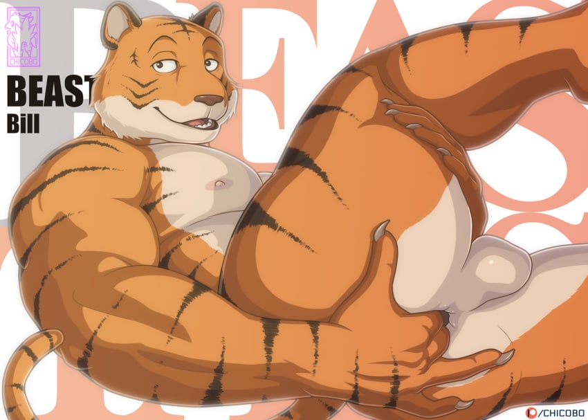 1boy 2020 anthro anus balls beastars bill_(beastars) chicobo claws felid genitals looking_at_viewer male male_only mammal muscular muscular_anthro muscular_male nipples nude pantherine solo solo_male stripes text tiger