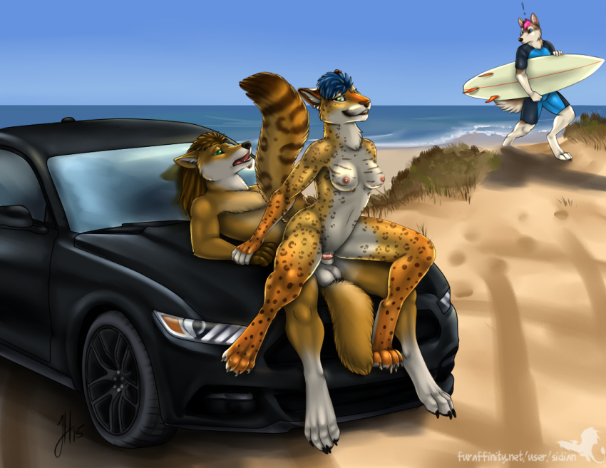 anthro anthro_on_anthro balls beach being_watched blue_eyes blue_hair breasts brown_fur canine car claws clothed clothing detailed_background fangs feline female female_penetrated fluffy fluffy_tail genital_fluids genitals green_eyes hyena interspecies linsey_huish male male_penetrating male_penetrating_female multicolored_fur nipples open_mouth open_smile orange_fur penetration penis pink_hair pleasured_face pussy pussy_juice reverse_cowgirl_position sex sidian smile straight tongue vagina vaginal vaginal_penetration white_fur wolf yellow_eyes yellow_fur