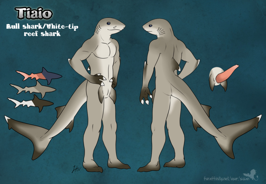 anthro blue_eyes claws genital_slit genitals grey_body linsey_huish male male_only marine model_sheet penis shark sidian simple_background smile solo tail two_tone_body